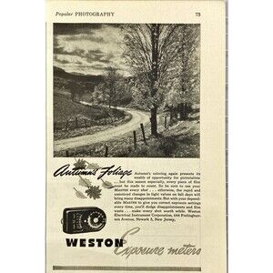 Weston Exposure Meters "Photograph of Autumn Foliage" Vintage Print Ad 1943